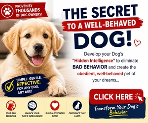 The Secret to a Well-Behaved Dog - Proven dog training program trusted by thousands of dog owners. Click to learn more.